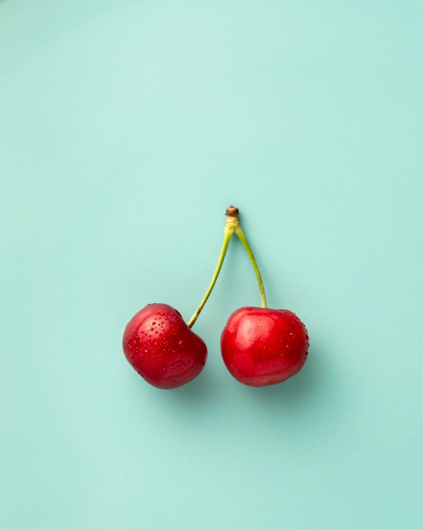 Rosa clásica en tono crema