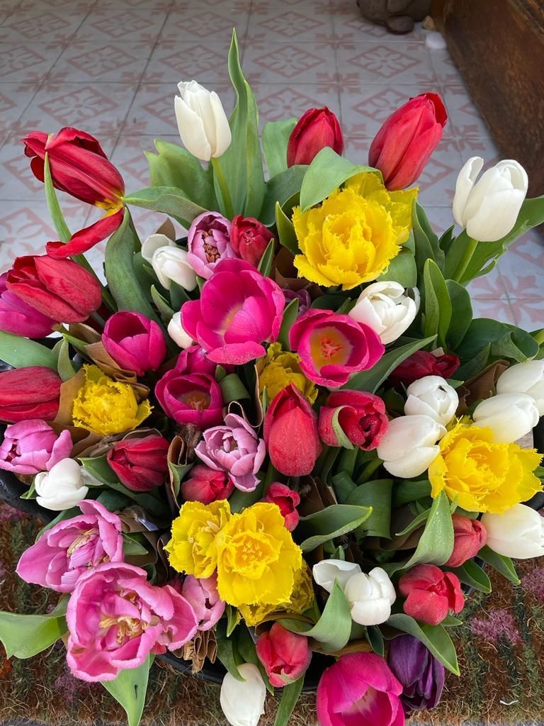 Ramo redondo de tulipanes rosas, rojos, amarillos y blancos