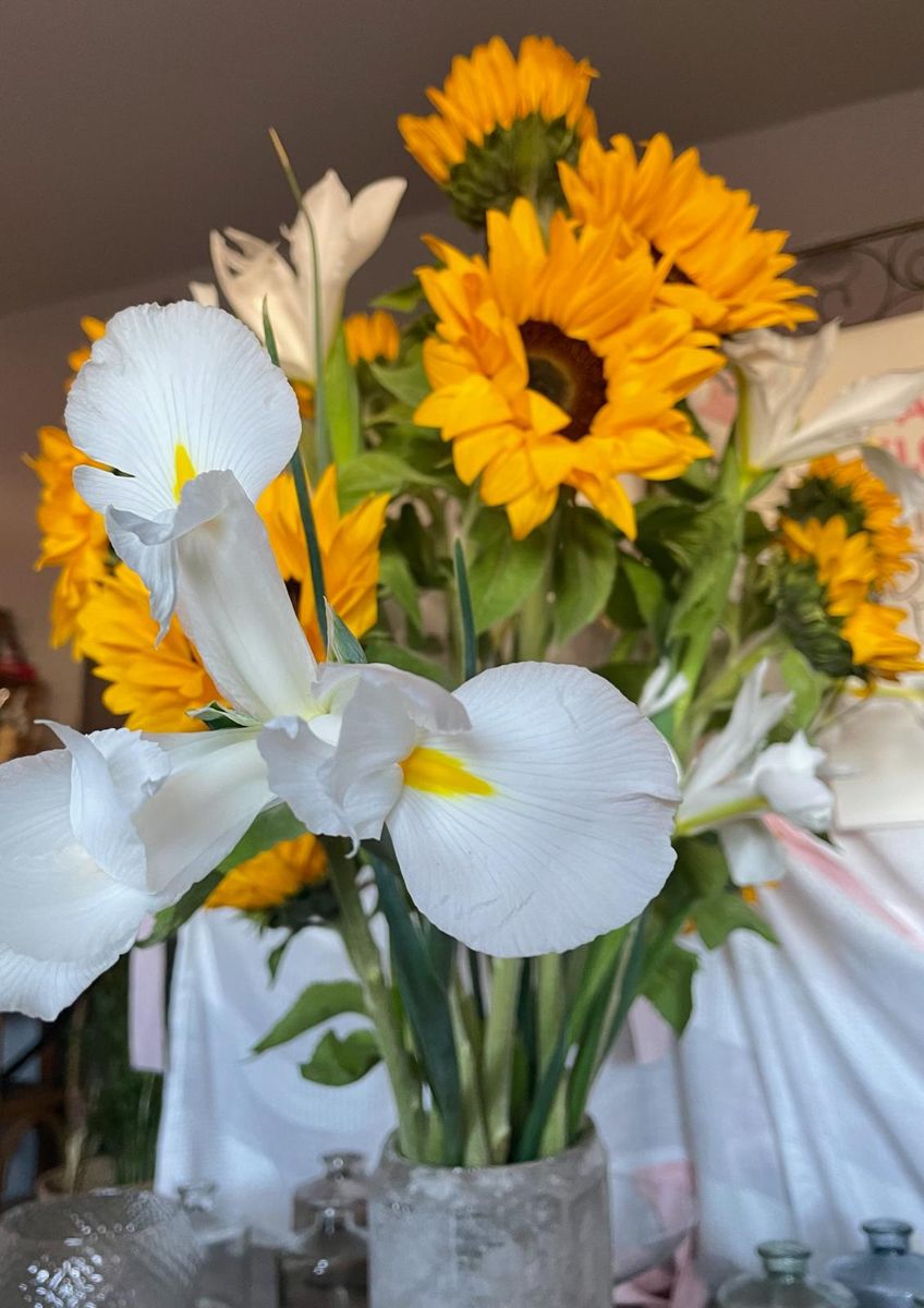Girasoles e iris blancos en jarrón de cristal